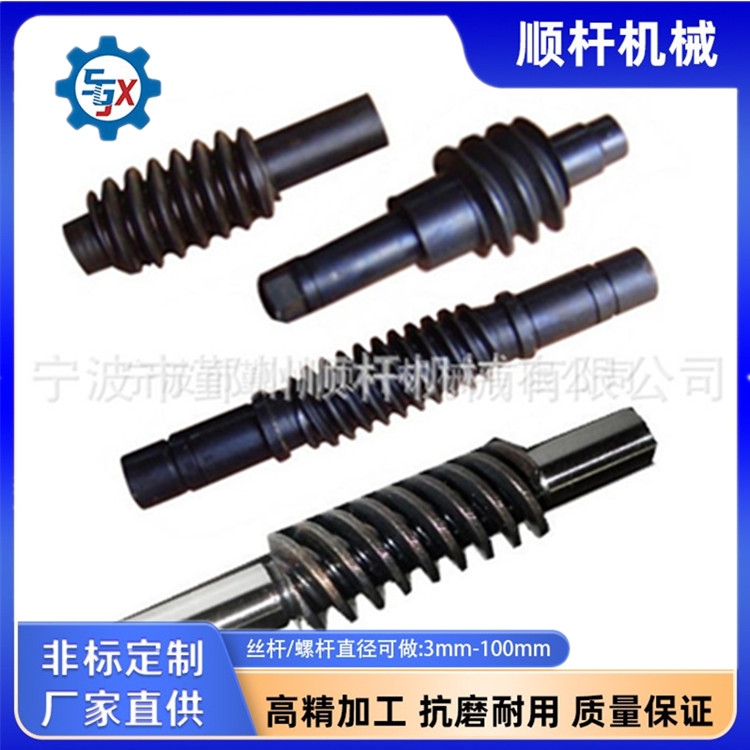 大型冷轧非标多头小模数蜗杆